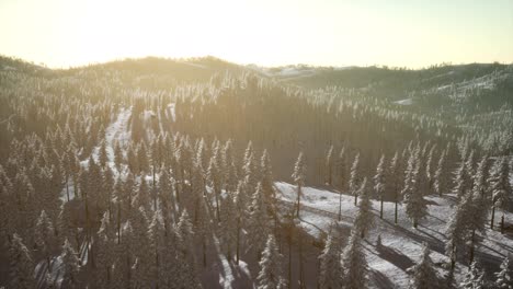 Winterlandschaft,-Die-Morgens-Im-Sonnenlicht-Erstrahlt